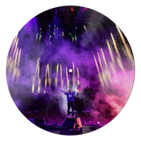 Play Portman Road Edition Picture Disc